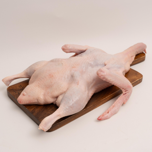 DU01. เป็ด 1ea