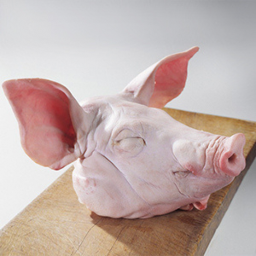 PG26. หัวหมู 1ea