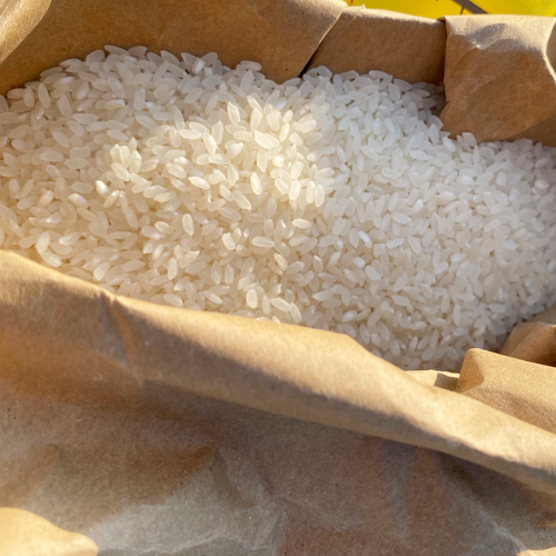 V10. ข้าวเหนียว 10kg