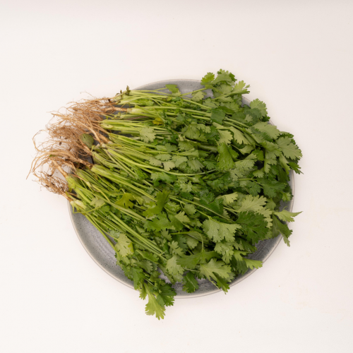 V21. ผักชี 1pack