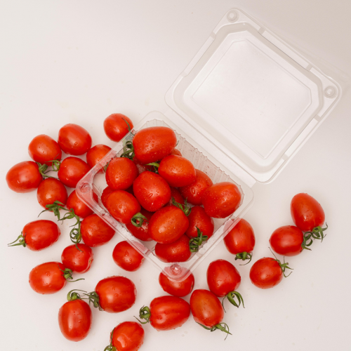 V22. มะเขือเทศเล็ก 1pack