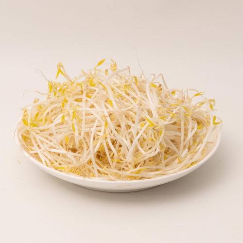 V37. ถั่วงอก 1pack