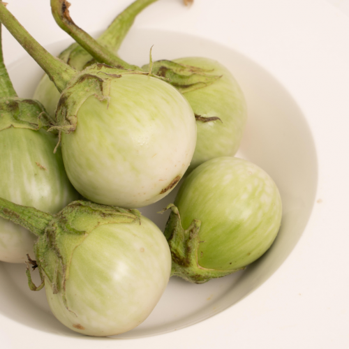 V41. มะเขือเปราะ 1pack