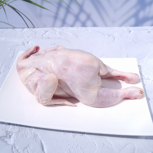 CK03. ไก่อ่อน 1ea