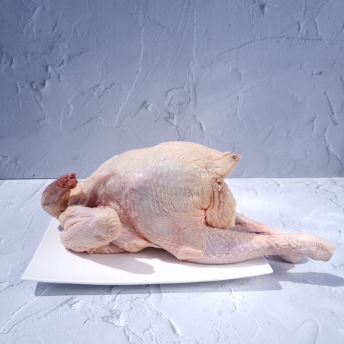 CK04. ไก่เหนียว 1ea