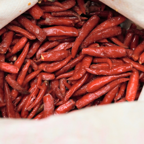 V02. พริกสด 1kg