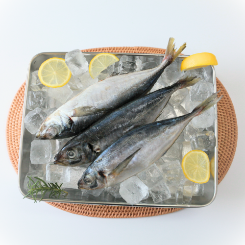 SE03-3. ปลาทู ◆3kg◆