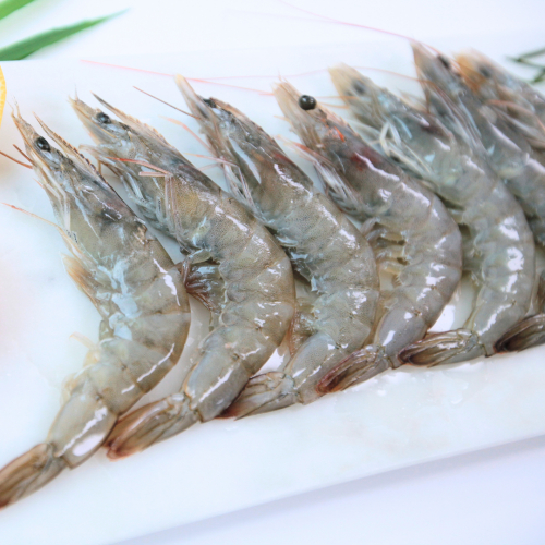 SE01. กุ้ง 1kg