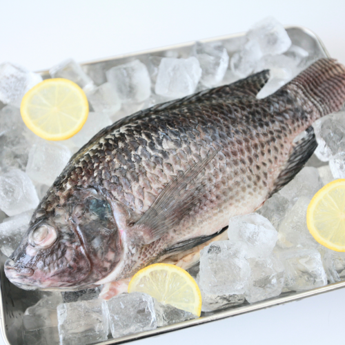 SE06. ปลานิน 1pack