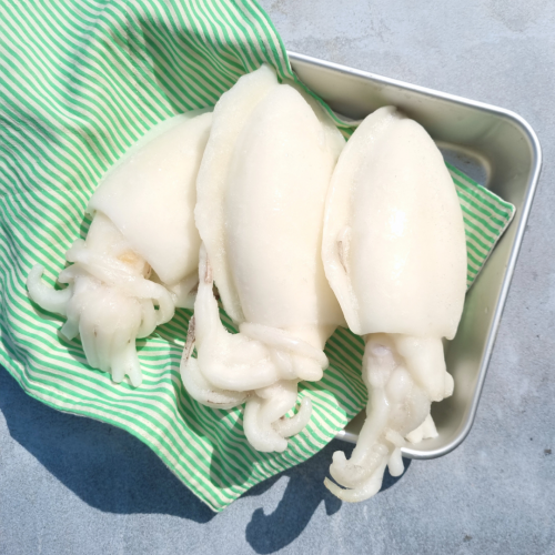 SE12. หมึกกะดองใหญ่ ★BIG★ 1pack