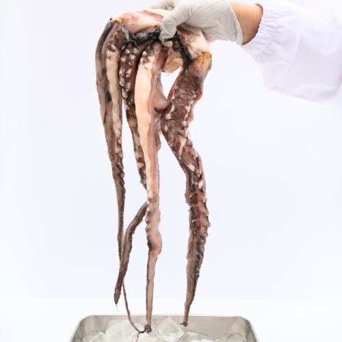 SE17. หนวดหมึกยักษ์ใหญ่ 1kg